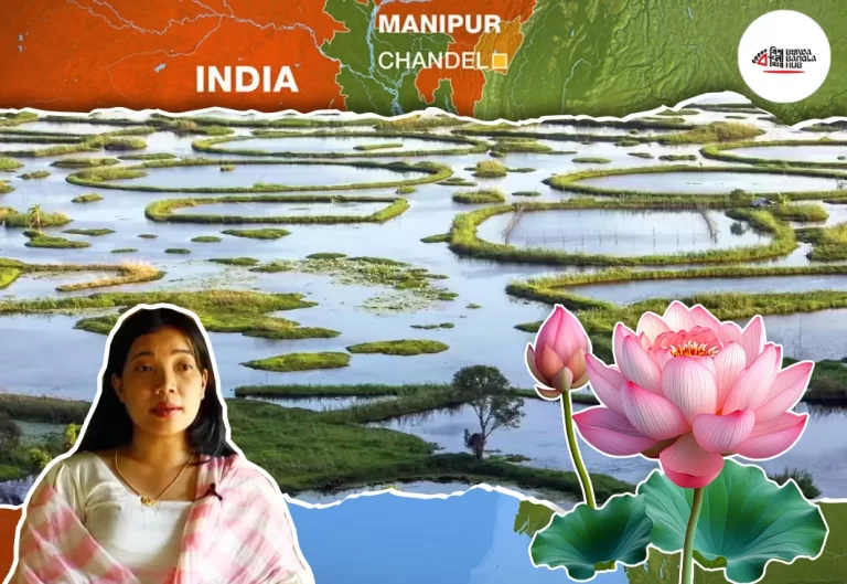 লোটাস সিল্ক: মনিপুরের গর্ব ও গ্রামীণ নারীর উদ্যোগ